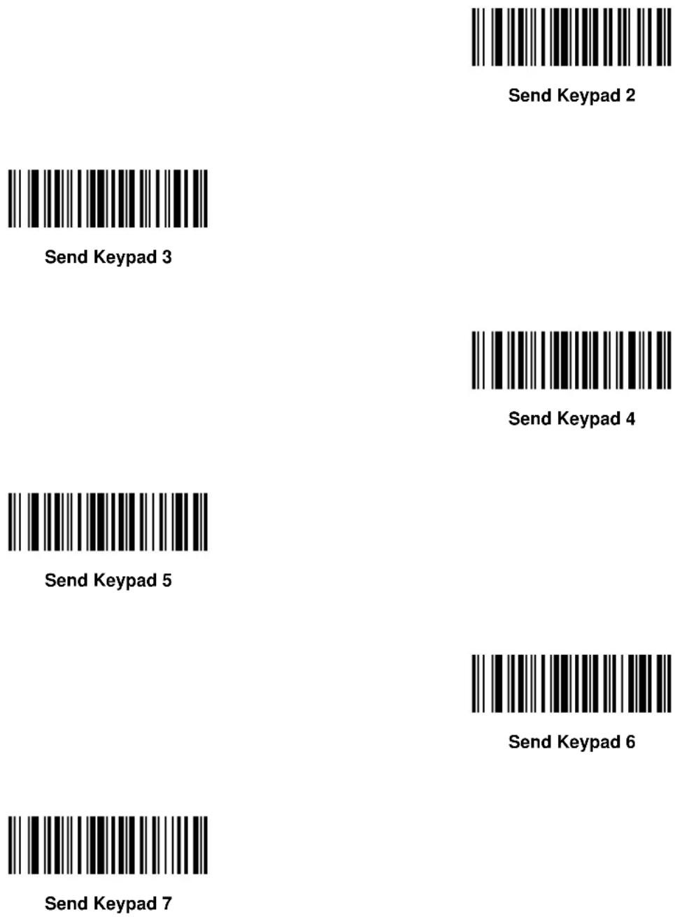 ZEBRA Symbol DS6607 - Keyboard Characters - 100