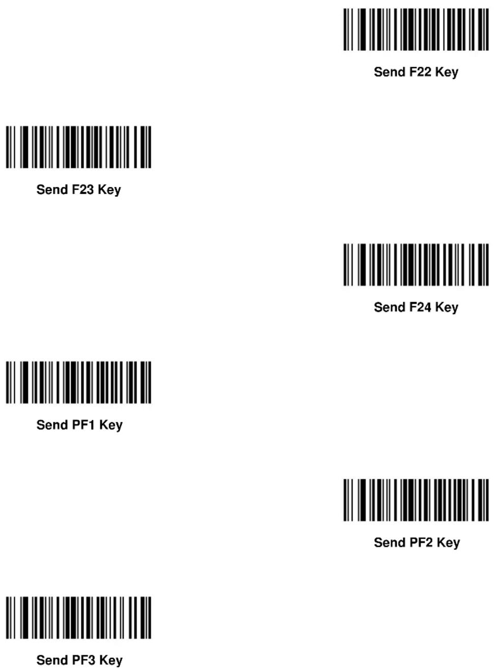 ZEBRA Symbol DS6607 - Keyboard Characters - 134