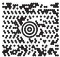 ZEBRA Symbol DS6607 - PDF417 - 3