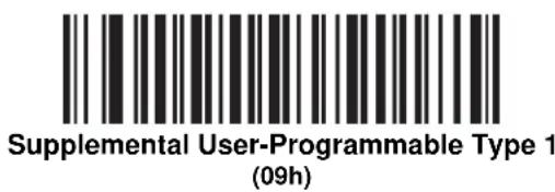 Supplemental User-Programmable Type 1 (09h)