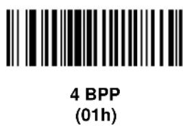 4 BPP (01h)