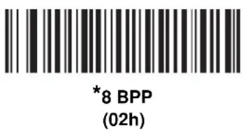 *8 BPP (02h)
