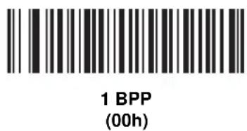 1 BPP (00h)