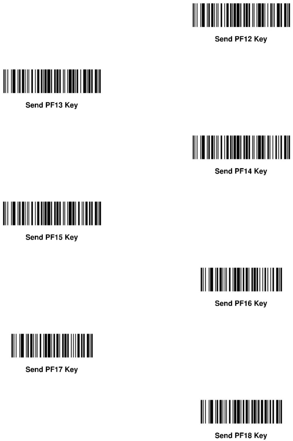 ZEBRA Symbol DS6607 - Keyboard Characters - 143