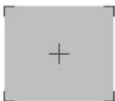ZEBRA Symbol DS6607 - Scanning with the Digital Scanner - 2