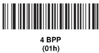 4 BPP (01h)
