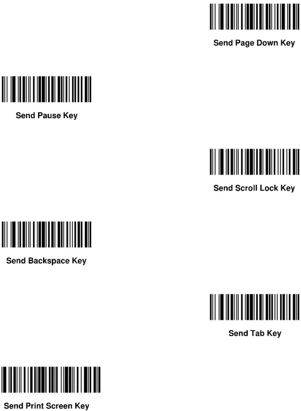 ZEBRA Symbol DS6607 - Keyboard Characters - 109
