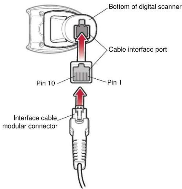 Bottom of digital scanner Cable interface port Pin 10 Pin 1 Interface cable modular connector