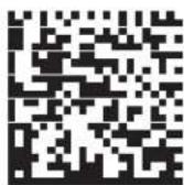 ZEBRA Symbol DS6607 - PDF417 - 2