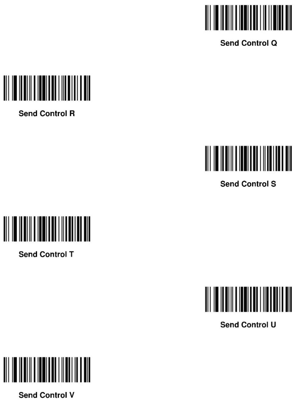 ZEBRA Symbol DS6607 - Control Characters - 13