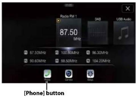 Radio FM 1 87.50 MHz DAB USB Audio [Phone] button
