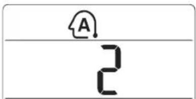 A 2