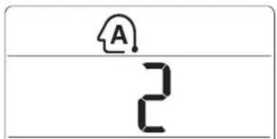 A 2