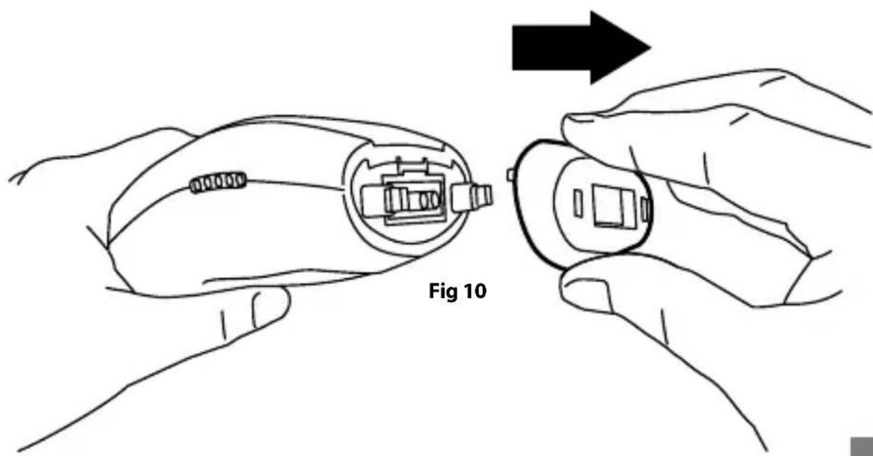 Fig 10