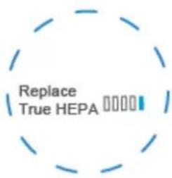 Replace True HEPA