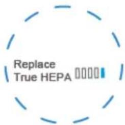 Replace True HEPA 00000