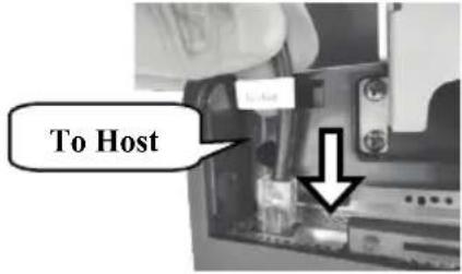 To Host