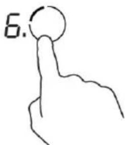 6.
