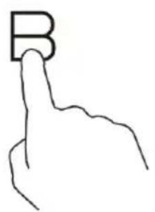 B