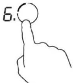 6.