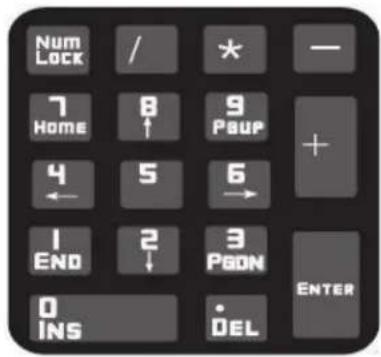 Num Lock / * — 7 Home 8 ↑ 9 PSUP + 4 ← 5 6 → 1 END 2 ↓ 3 PGDN ENTER 0 INS DEL