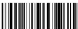 Newland HR22800-BT - Query Data Formats - 1