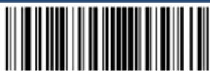 Newland HR22800-BT - Set the Good Read LED duration to 800ms: - 10