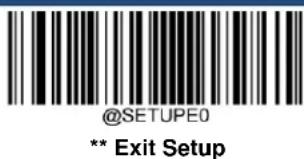 @SETUPE0 ** Exit Setup