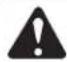 TROY-BILT TB25SH - STARTING AND STOPPING - 1