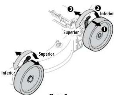 Inferior Superior Inferior Superior Inferior Figure 7