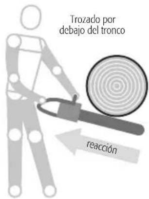 Trozado por debajo del tronco reacción