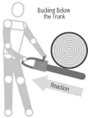 Bucking Below the Trunk Reaction
