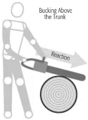 Bucking Above the Trunk Reaction