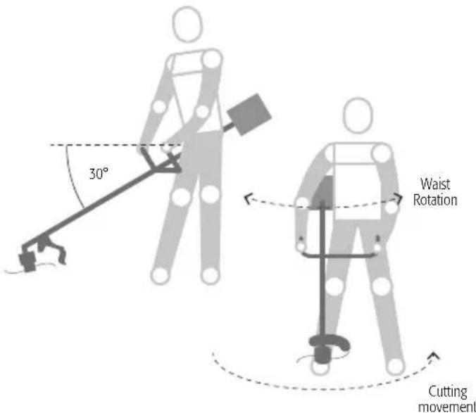 30° Waist Rotation Cutting movement