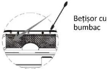 Betişor cu bumbac