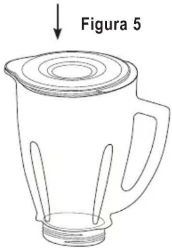 Figura 5