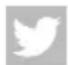 OSTER BLSTMP-W00 - VELOCIDADES - 3