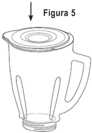 Figura 5