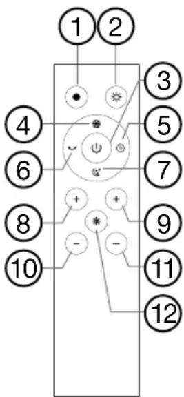 1 2 3 4 5 6 7 8 9 10 - - 11 12