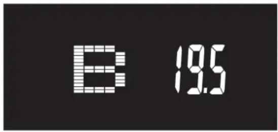 B 19.5