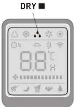 DRY 8.0°C