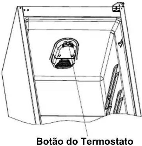Botão do Termostato
