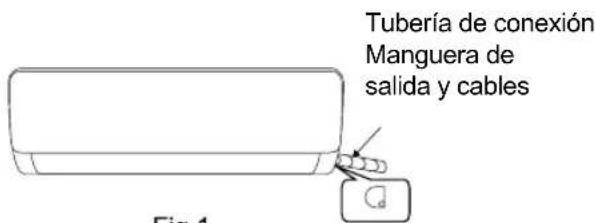 Tubería de conexión Manguera de salida y cables Fig. 1