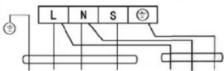 L N S