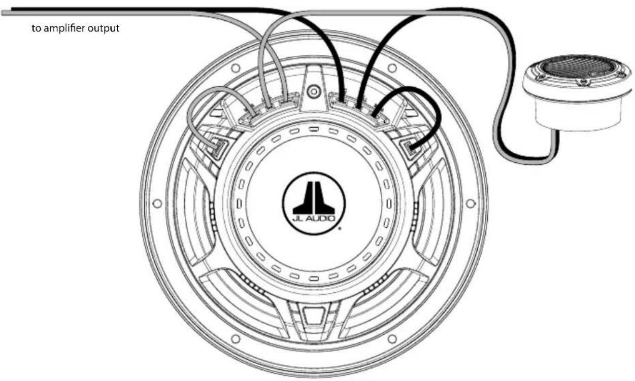 to amplifier output JL AUDIO