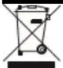 Izzy IZ-9028 - Important information for correct disposal of the product in accordance with EC Directive 2002/96/EC - 1