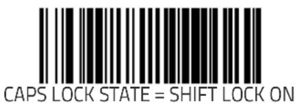 CAPS LOCK STATE = SHIFT LOCK ON