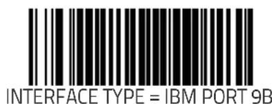 INTERFACE TYPE = IBM PORT 9B
