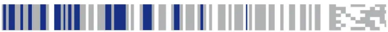 Image containing a barcode with blue and gray vertical stripes, some accompanied by partial text or symbols.