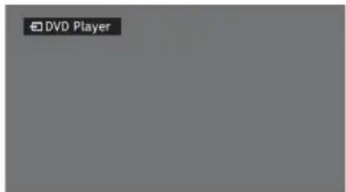 DVD Player